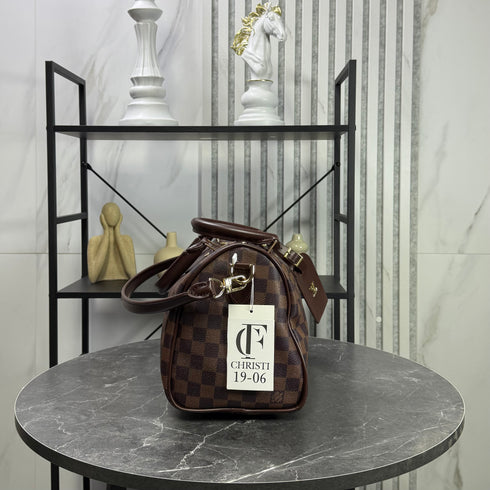 Louis Vuitton Damier Speedy Bandoulière