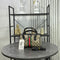 Gucci Ophidia GG Boston