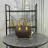 Louis Vuitton Monogram Speedy Trunk