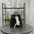 Chanel 25 Backpack