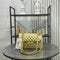 Chanel Classic Flap Bag