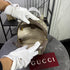 Gucci Ophidia GG Small Backpack
