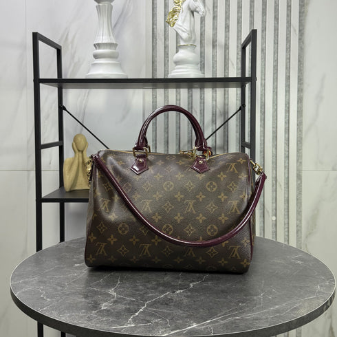Louis Vuitton Speedy Monogram soft celebration