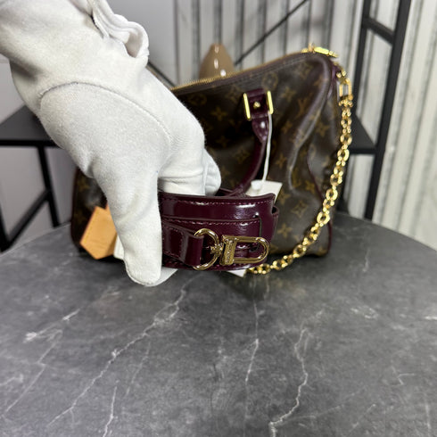 Louis Vuitton Speedy Monogram soft celebration