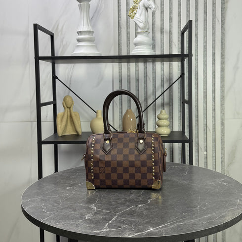 Louis Vuitton Damier Speedy Trunk