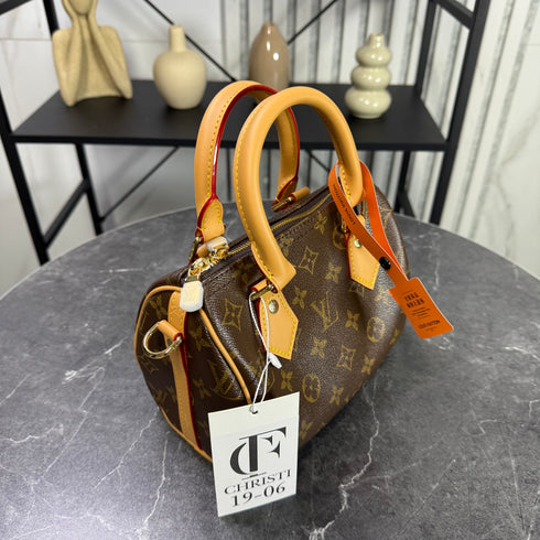 Louis Vuitton Nano speedy